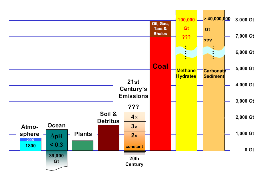 TecEco Carbon Cycles and Sinks